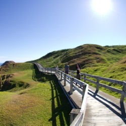 Phillip Island